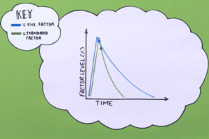 EHL Factor Concentrates: Your Questions Answered [Video]